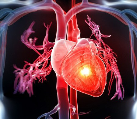 mua máy đo huyết áp